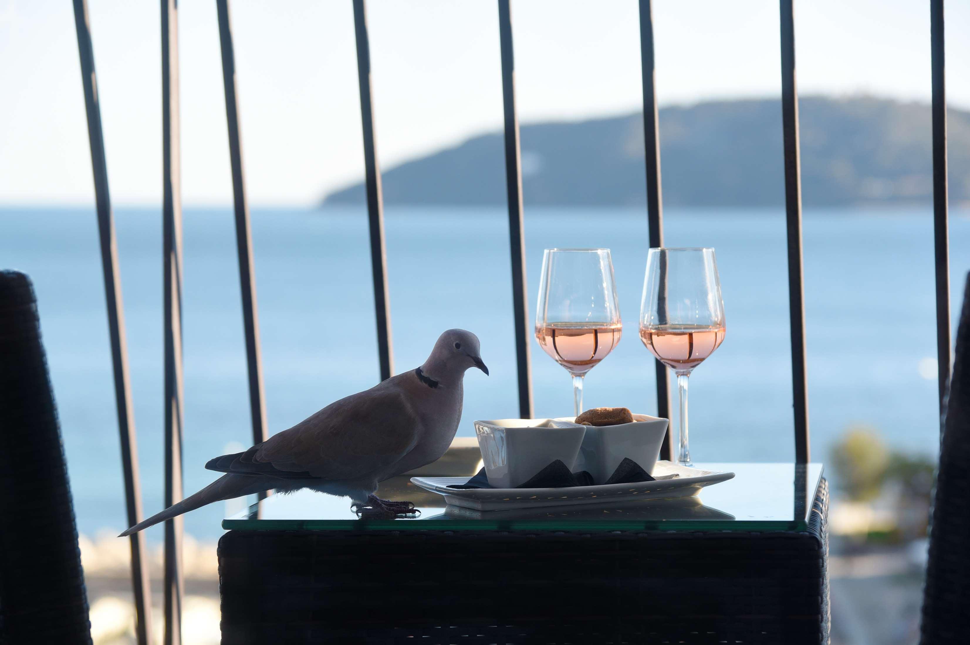Best Western Plus La Corniche Τουλόν Εξωτερικό φωτογραφία